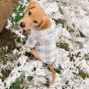 Dog - Size Large - Jacket